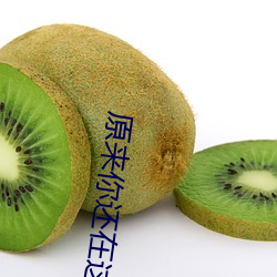 原来你还在这里小说