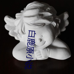 白鹿原小说