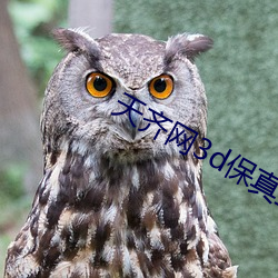 天齐网(wǎng)3d保真正版藏机图