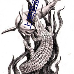 上(上)海国金百(百)丽宫影(影)院(院)