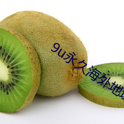 9u永久海外地域网名