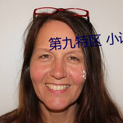 第九(jiǔ)特区 小说