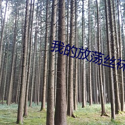 我的放蕩絲襪美腿老師在線