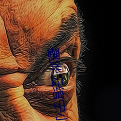 墨(墨)晔云绾宁小说免费(費)阅读(讀)