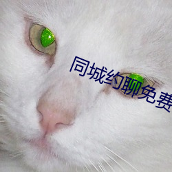 同城约聊免费版