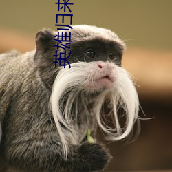 英雄归(歸)来3电影(影)免费观(觀)看(看)英