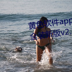 黄色软件(jiàn)app3.0.3免(miǎn)费vivo版大全装新(xīn)版(bǎn)v2.1.2 app下载(zài)