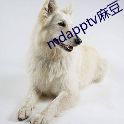 mdapptv麻(má)豆下载app