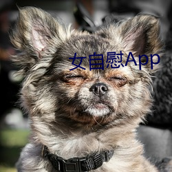 女自慰app