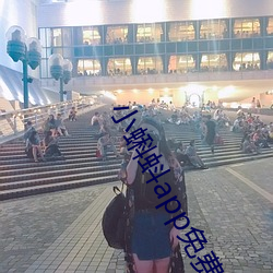 小蝌蚪app免費下載大全—