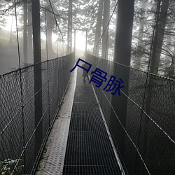 屍骨脈