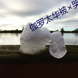 伽罗太华被哭还流(liú)东西作业