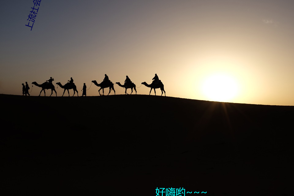 上(shàng)流社会(huì)电影完整版无删减