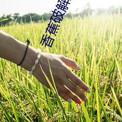 香(香)蕉破(破)解(解)版app无限(限)版