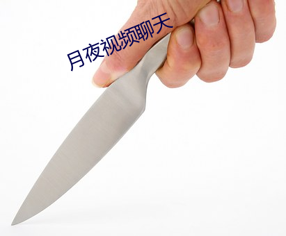 月夜视频聊天