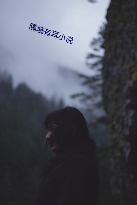 隔墙有耳小说