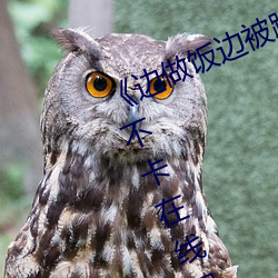 《边做饭边被躁(zào)我和邻居(jū)视频》高清不卡在线观(guān)看