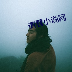 请看小说网(網)