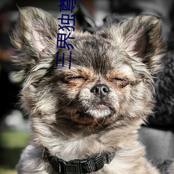三界(界)独尊