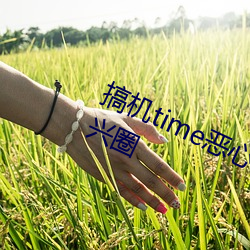 搞(gǎo)机time恶心直(zhí)接打(dǎ)开(kāi)的不用下载嘉兴圈
