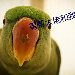 黑(黑)帮大佬(佬)和(和)我的(的)365日(日)第3季(季)