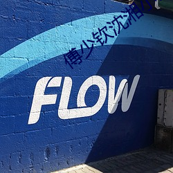 傅(fù)少(shǎo)钦沈湘小说全文免(miǎn)费阅读