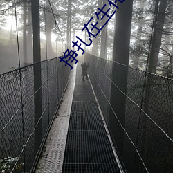 挣(掙)扎(紮)在生化末(末)日(日)