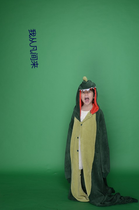 我从凡间来