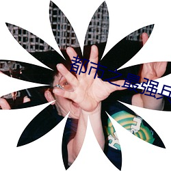都市(shì)之最强兵王