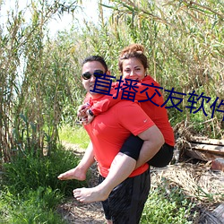 直播交友软件有哪些