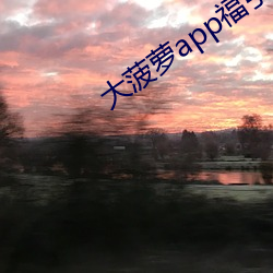 大菠萝app福引(引)导网站
