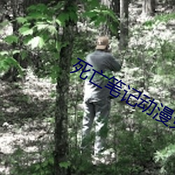 死亡笔记动漫免费高清在线