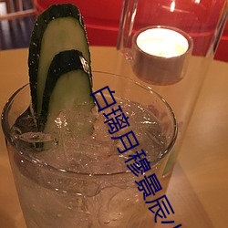 白璃月穆景辰小說全文免費閱讀