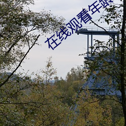 在线观看年龄确认电视