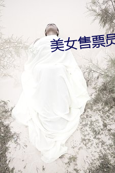 美女售(售)票员