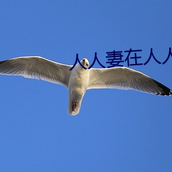 人(人)人妻在(在)人人(人)看(看)人(人)人澡