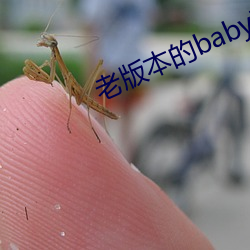 老版本的baby直播