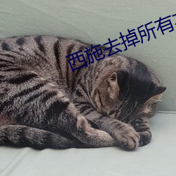 西施去掉所有衣物的样子