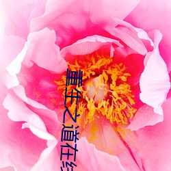 重生之道在线观看完整版免