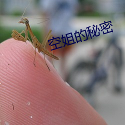 空姐的秘密