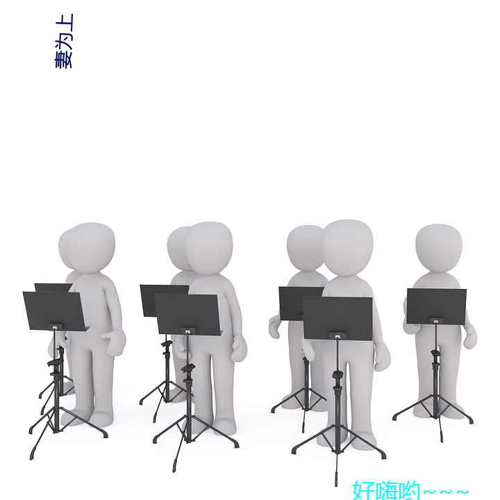 妻(qī)为上
