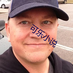 可乐小说
