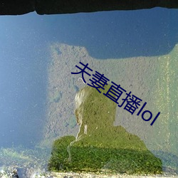 夫妻直播lol