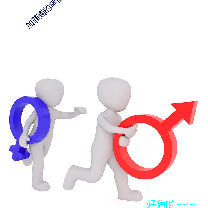 加菲貓的幸福生活第一季