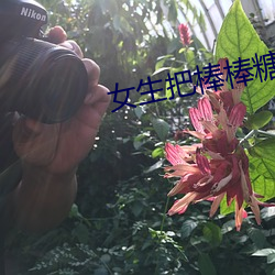 女生把棒棒糖放(放)屁(屁)里(裏)眼里不能掉(掉)