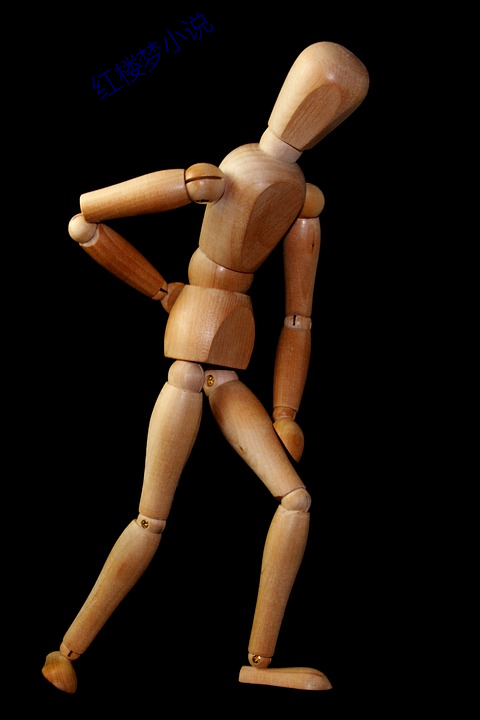 红楼梦小说