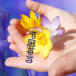 護國神帥