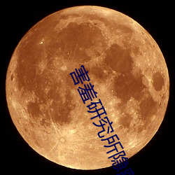 害羞研究所隱藏免費在線