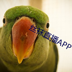 絲襪直播app