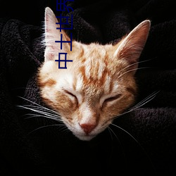 中土世(世)界战(戰)争(爭)之影伊希(希)尔(爾)丁(丁)